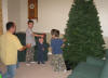 tree
