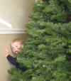peek-a-boo