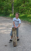 Gavin