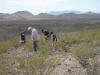 rock hunting